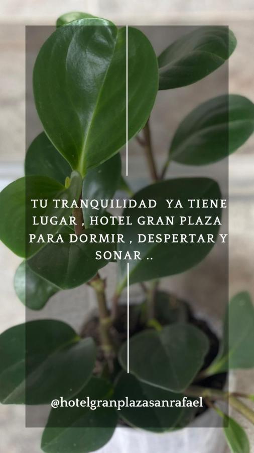 Hotel Gran Plaza San Rafael San Rafael  Exterior foto
